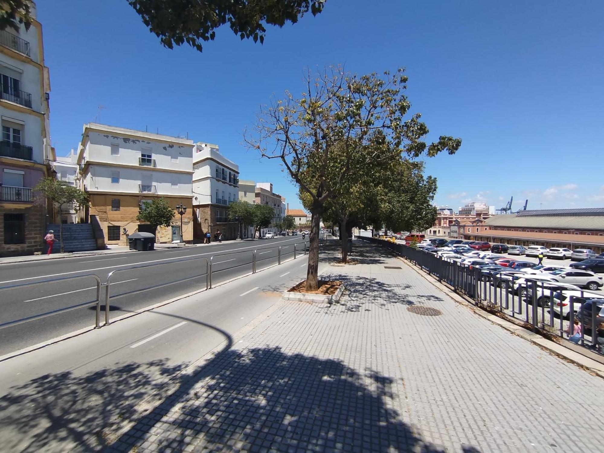Cadiz Centro Goleta Loft By C.Dreams Apartment Bagian luar foto